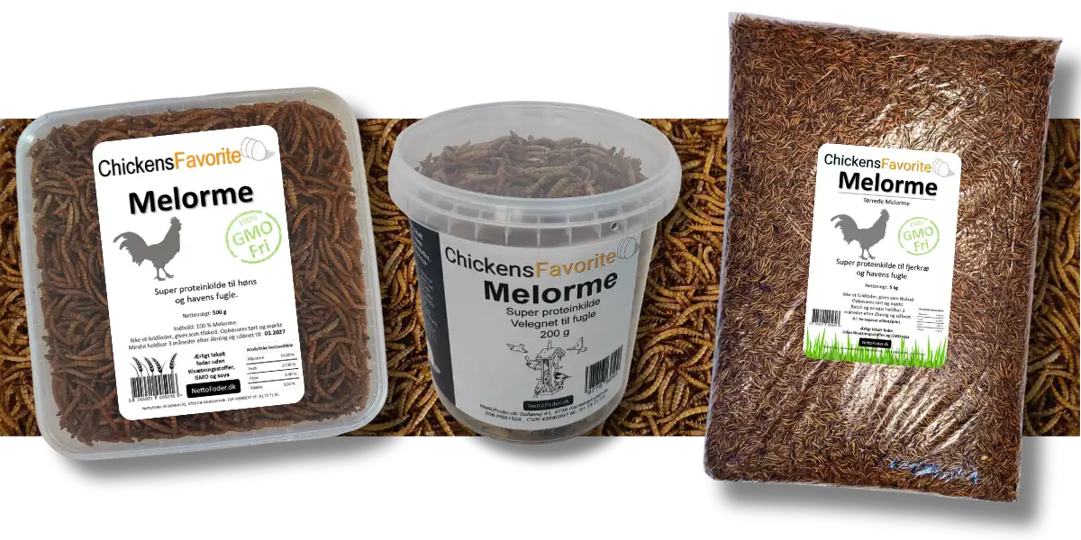 ChickensFavorit Melorme