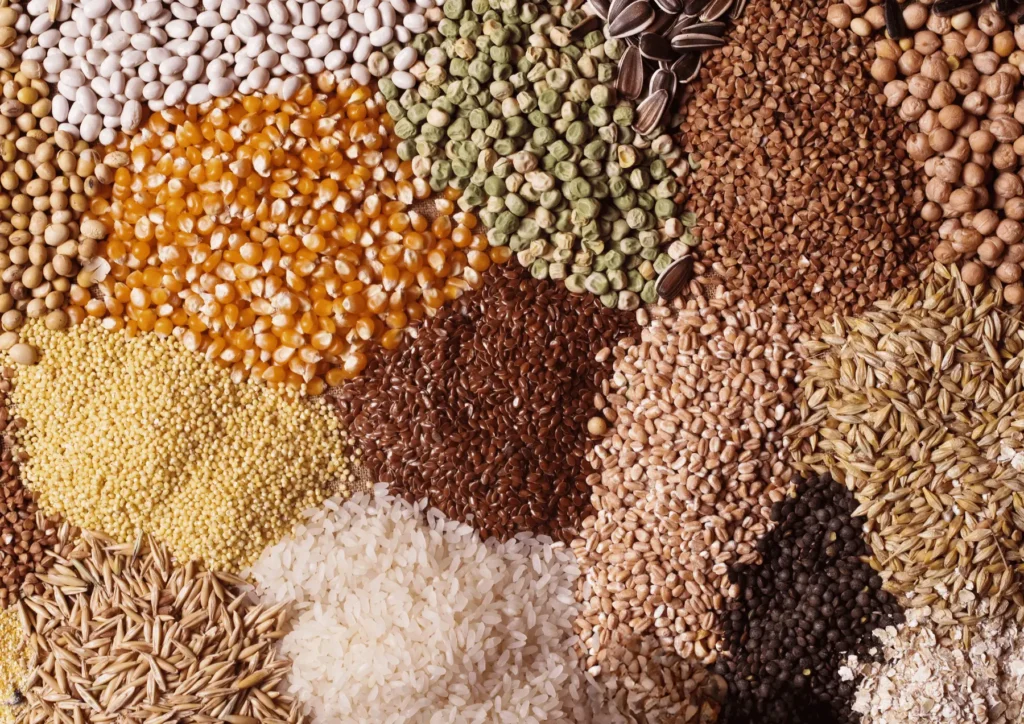 Bæredygtig foderproducent NettoFoder